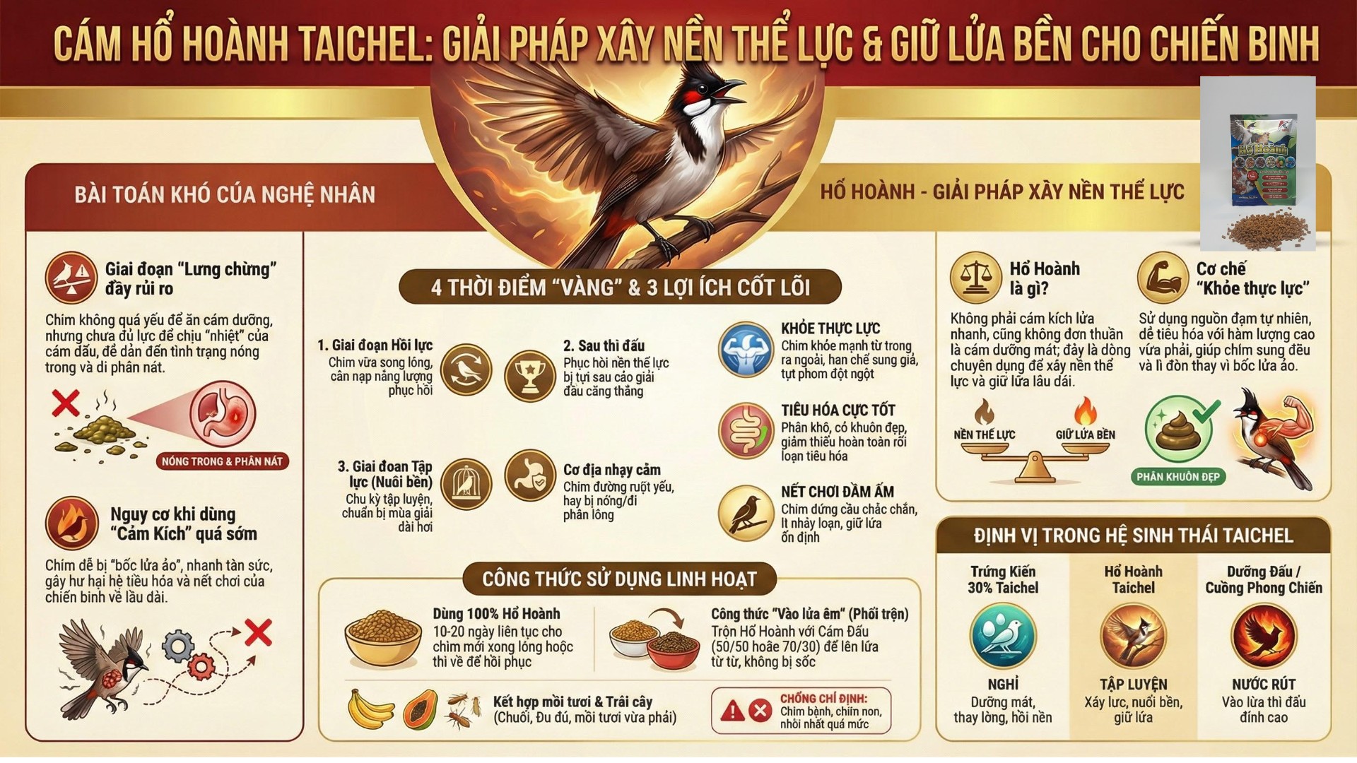 Infographic so sánh 3 dòng cám Taichel: Cám dưỡng Trứng Kiến, Cám xây lực Hổ Hoành và Cám đấu. Hướng dẫn chọn cám phù hợp cho chim chào mào.