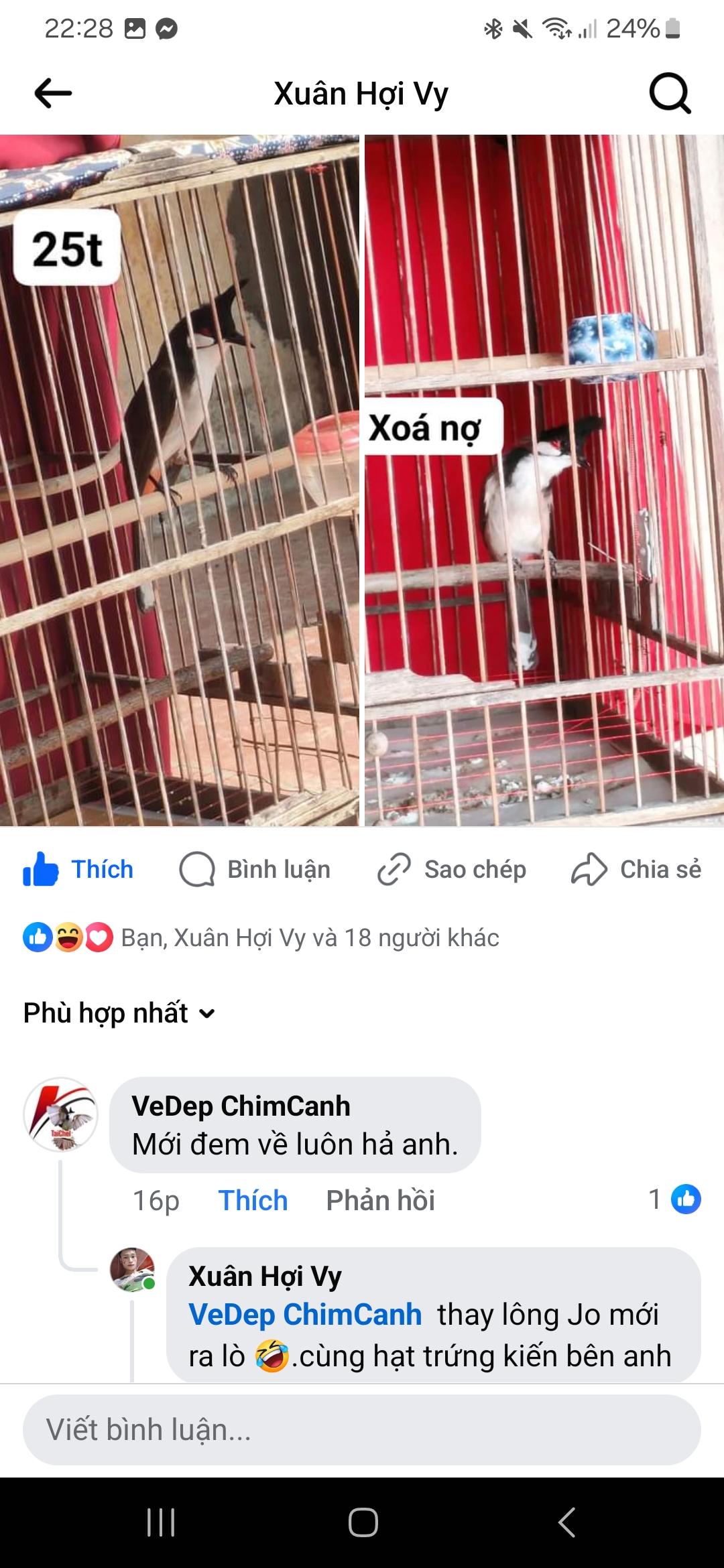 Feedback khách hàng khen cám Taichel giúp chim đi phân khuôn khô và mượt lông