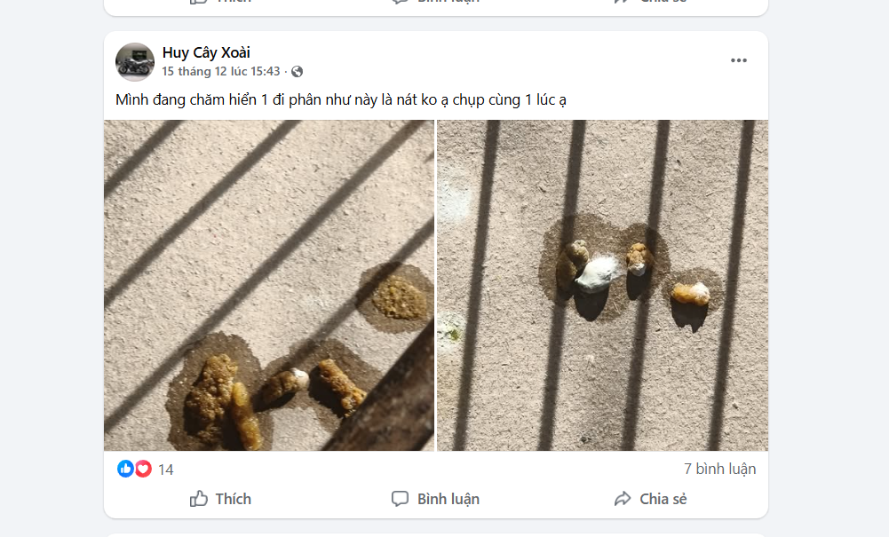 Feedback khách hàng chim ăn cám Hiển Bảo Khanh bị tiêu chảy phân nát.
