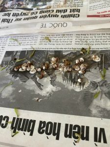 Phân chim sau khi ăn cám taichel