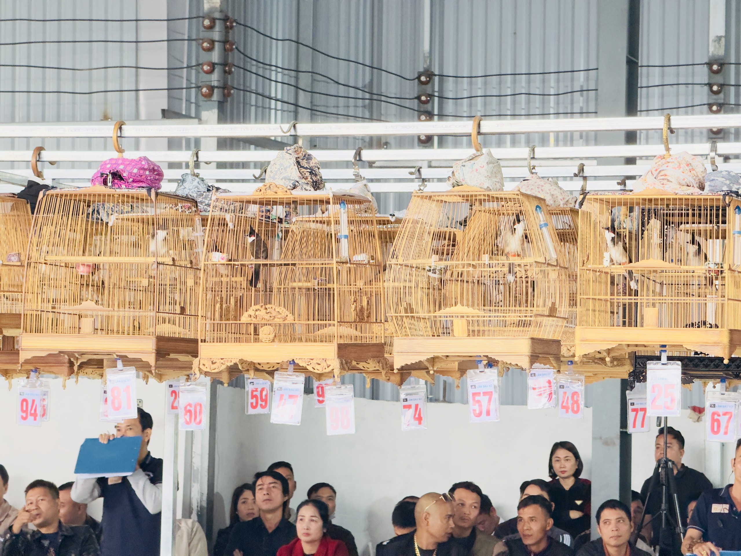 Giàn thi đấu chào mào đông đúc và áp lực.