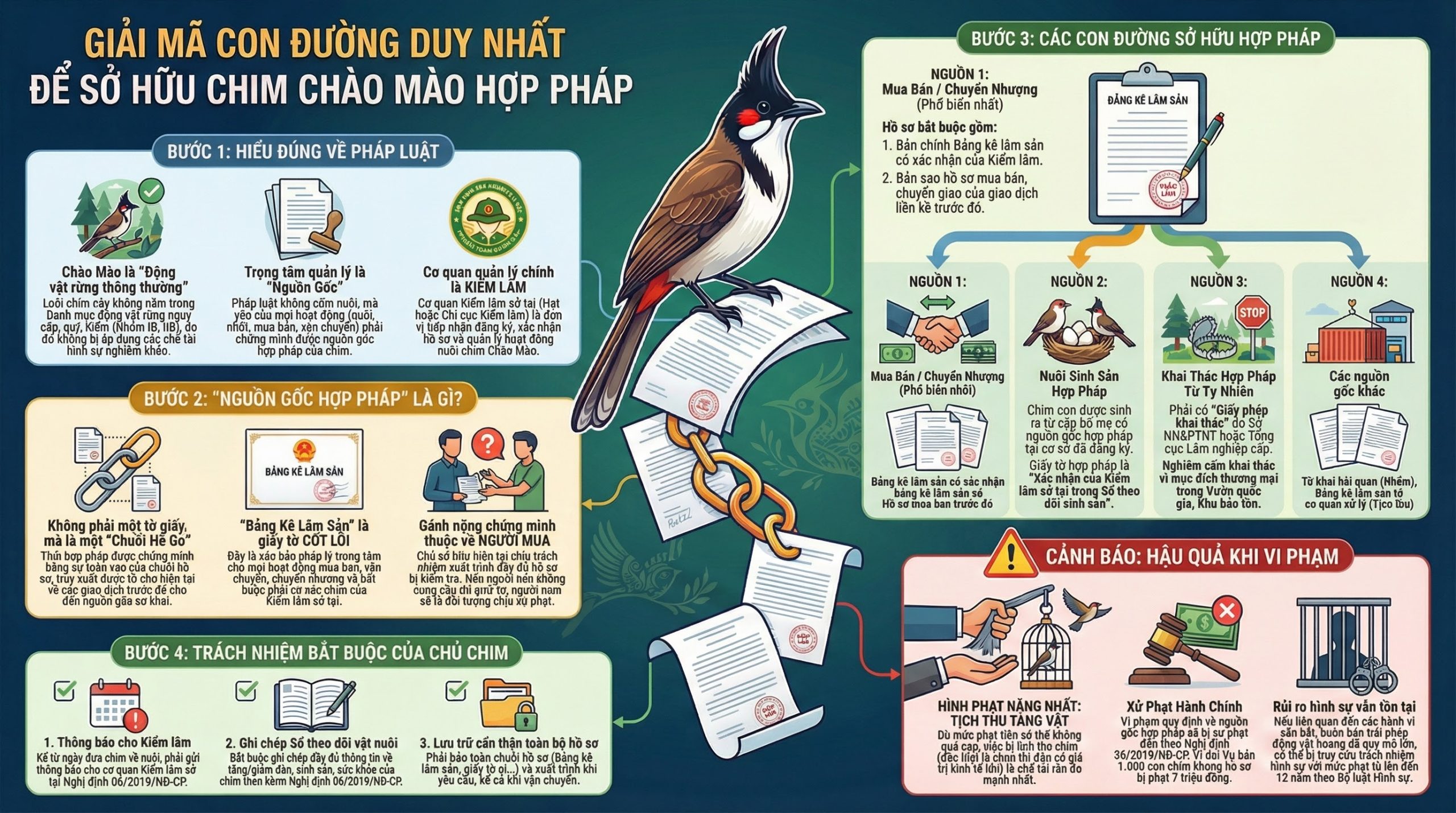 Sơ đồ 4 nguồn gốc hợp pháp của chim chào mào.