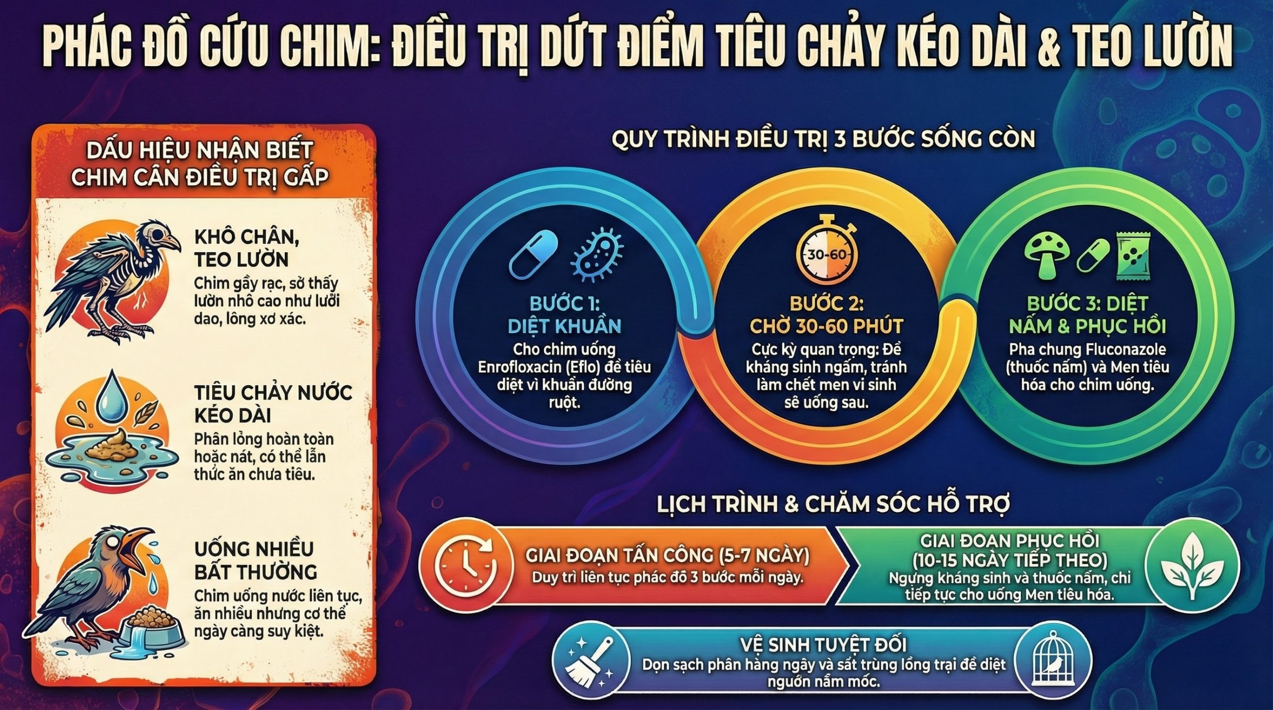 Sơ đồ phác đồ điều trị tiêu chảy cho chim cảnh.