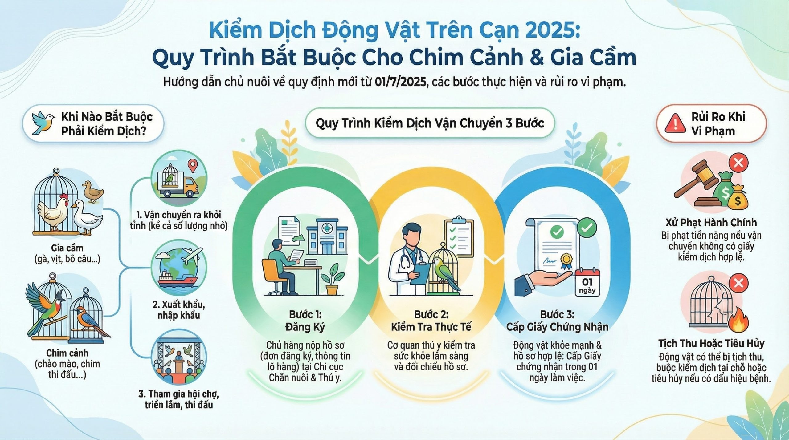 Sơ đồ quy trình kiểm dịch chim cảnh vận chuyển ngoại tỉnh.