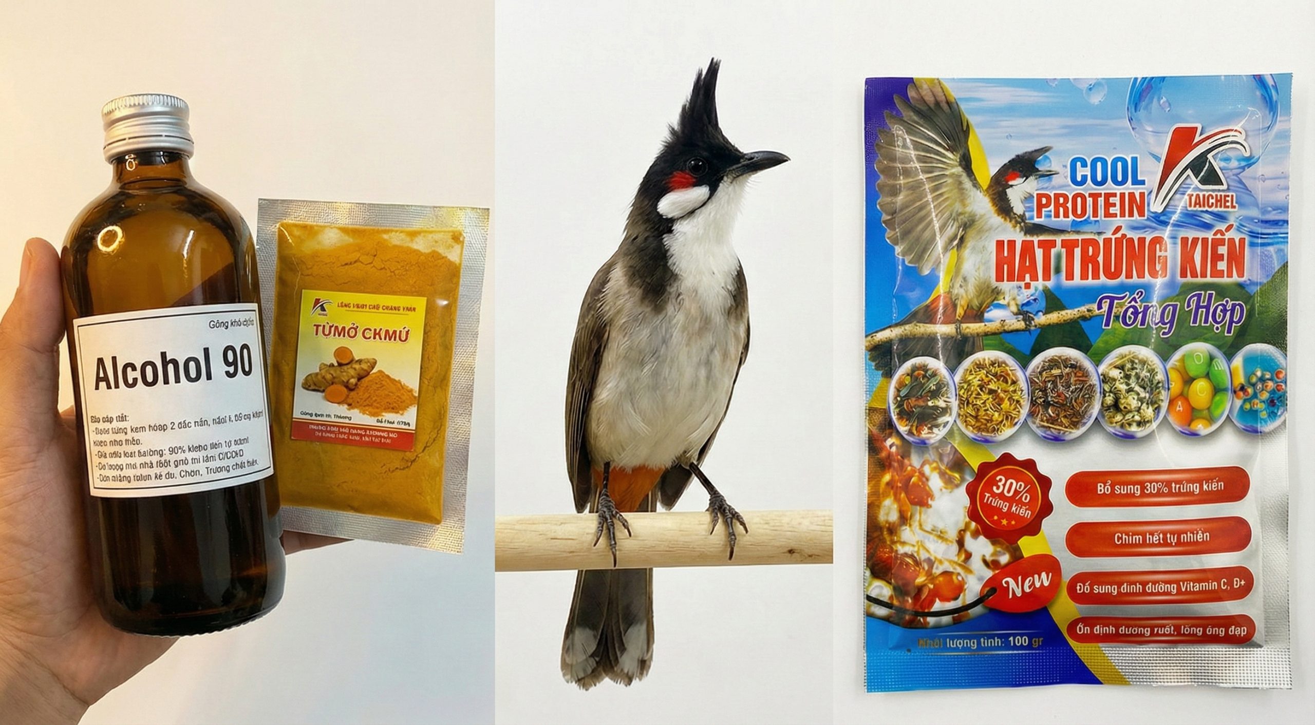 Combo trị nấm toàn diện: Thuốc bôi ngoài da và Cám Taichel dưỡng trong.