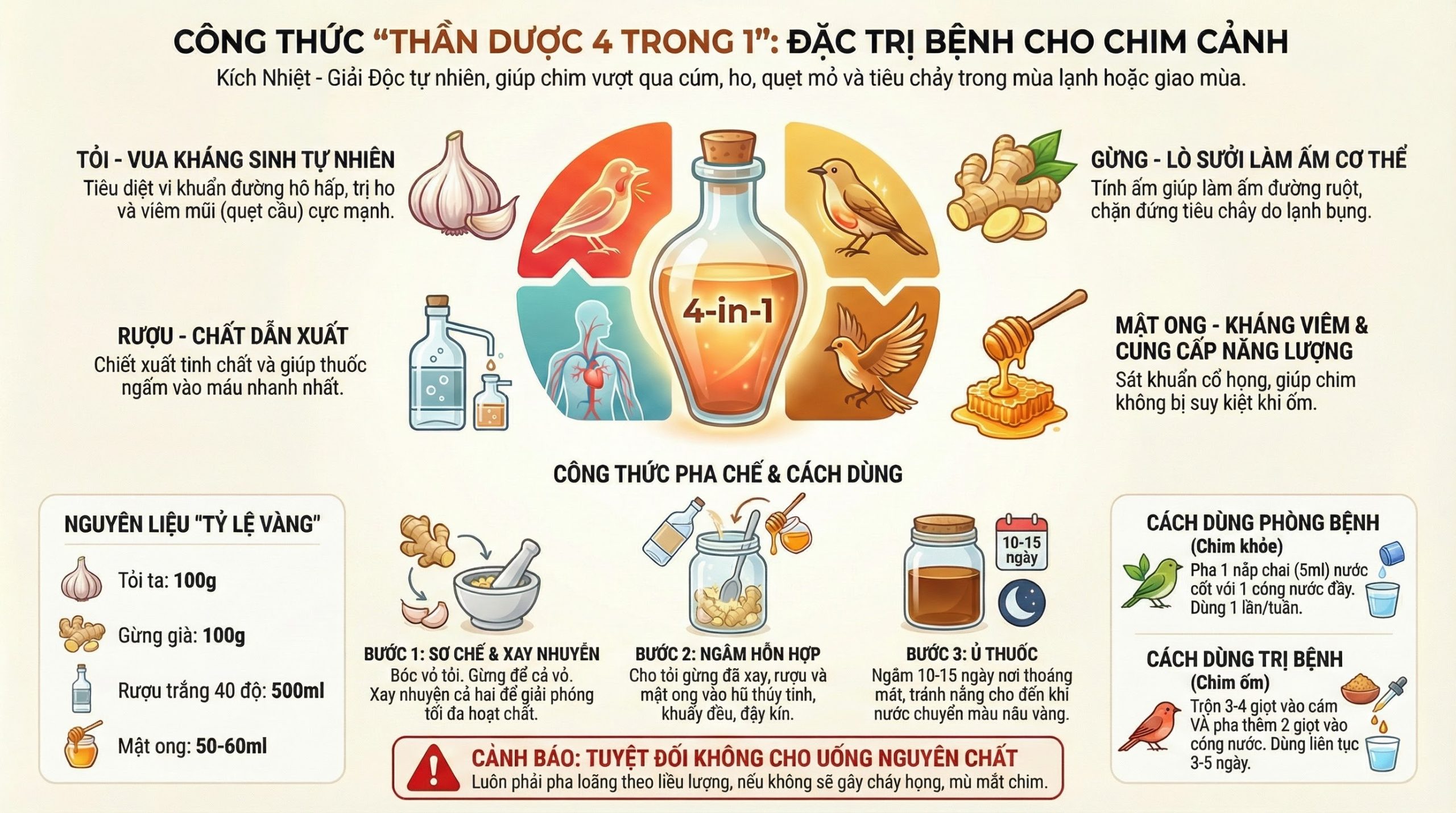 Cơ Chế Tác Động Của Bài Thuốc "4 Trong 1".