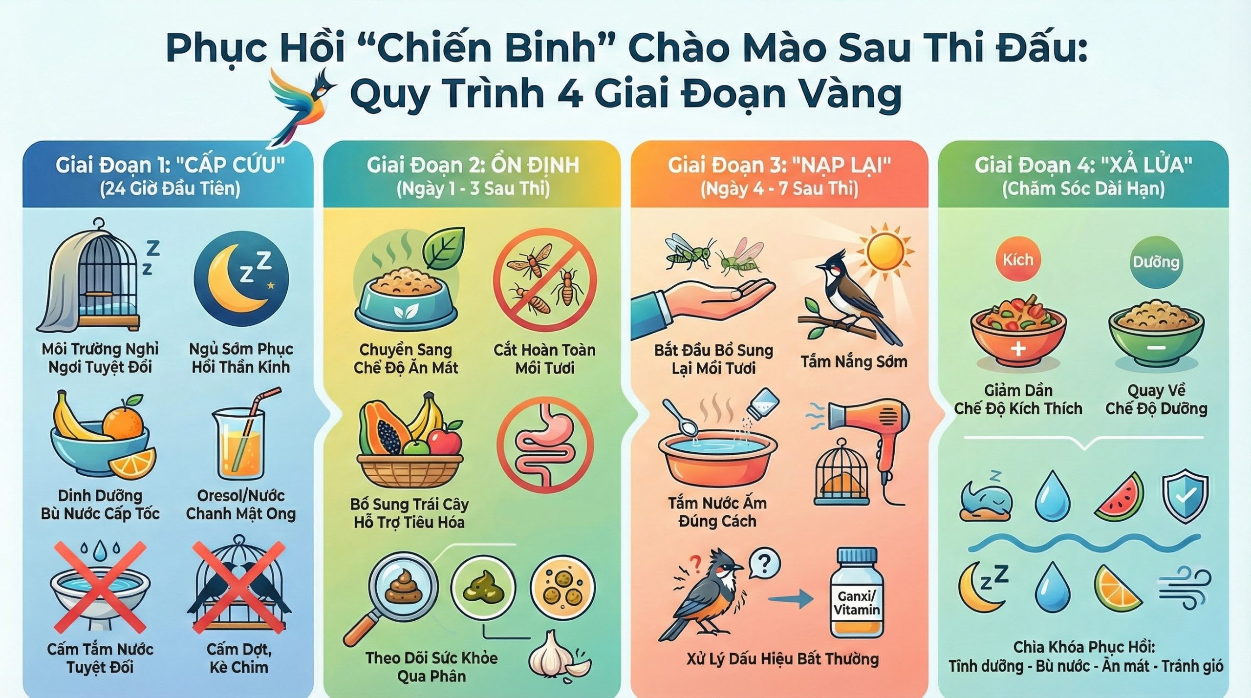 Lộ Trình 4 Giai Đoạn Phục Hồi.