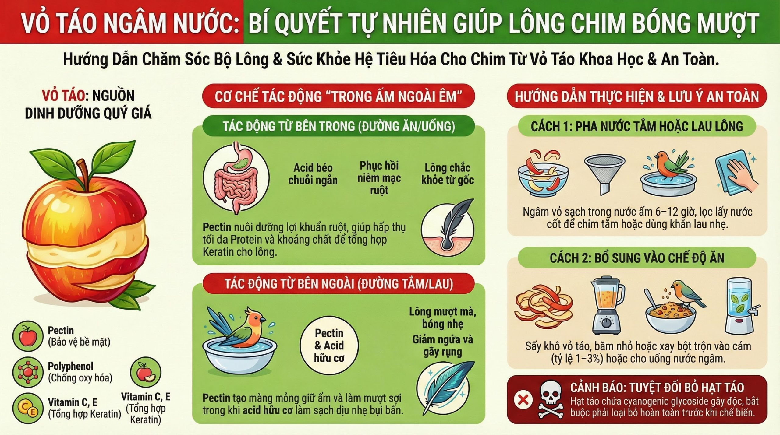 Infographic quy trình chăm sóc lông chim bằng vỏ táo: Từ thành phần dinh dưỡng Pectin/Vitamin, cơ chế tác động kép (đường ăn và đường tắm), đến hướng dẫn pha chế và cảnh báo bỏ hạt độc.