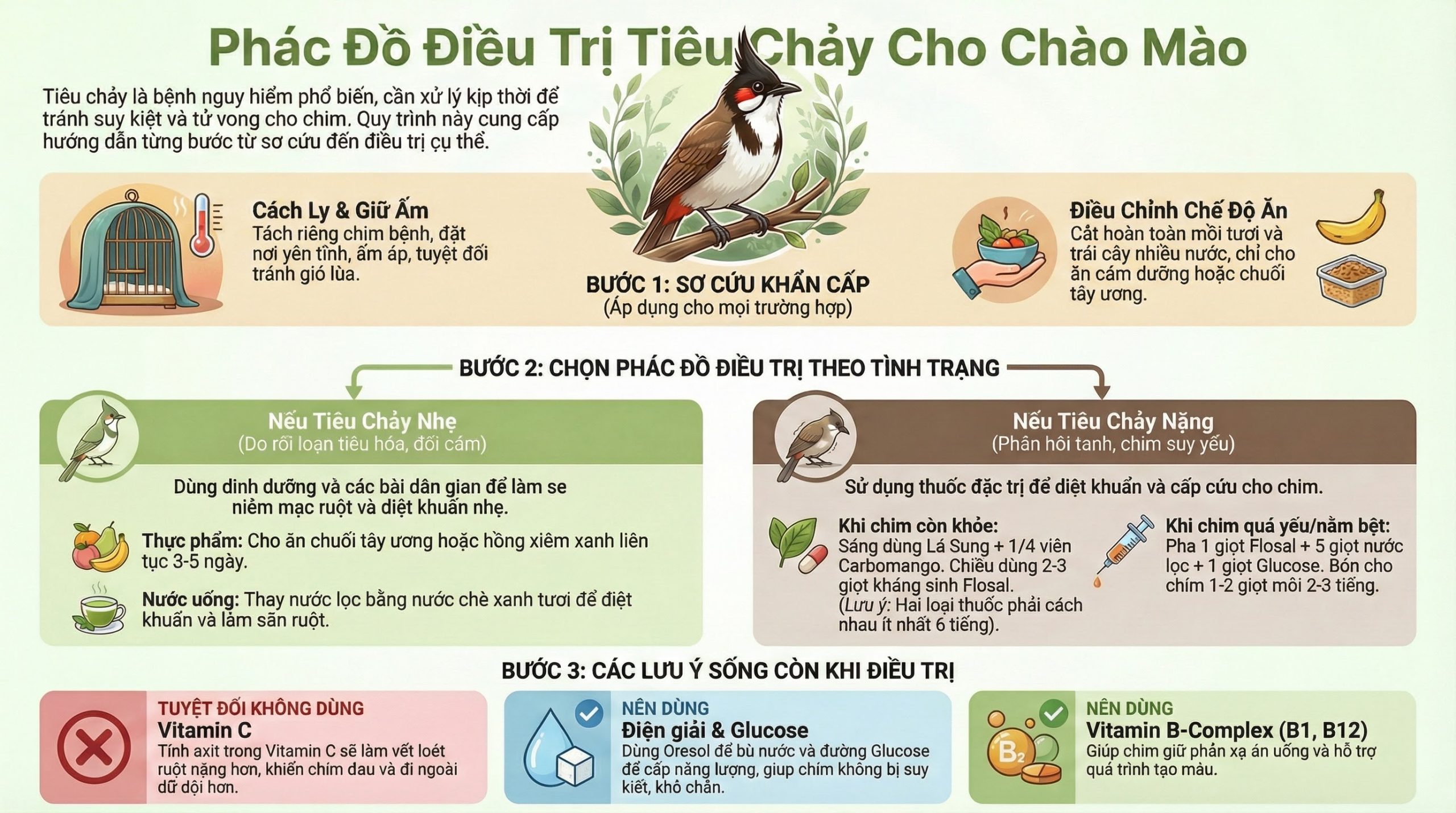 Infographic so sánh dấu hiệu nhận biết chào mào rụng lông ngược mùa do bệnh lý và thay lông đúng mùa.