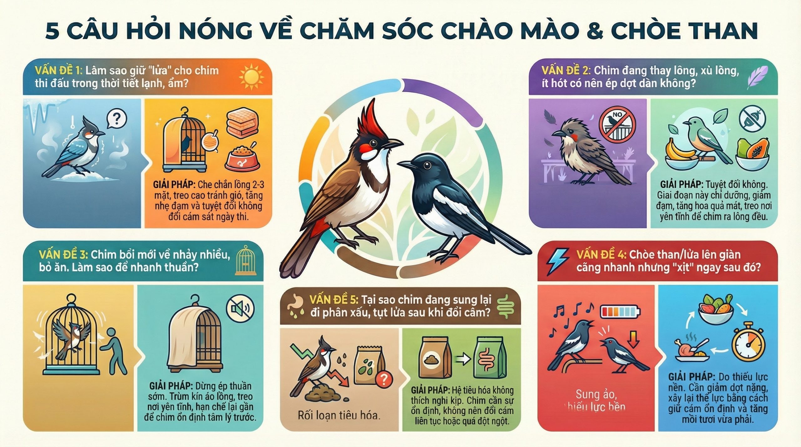 5 Giải Pháp Vàng Cho Ngày Lạnh