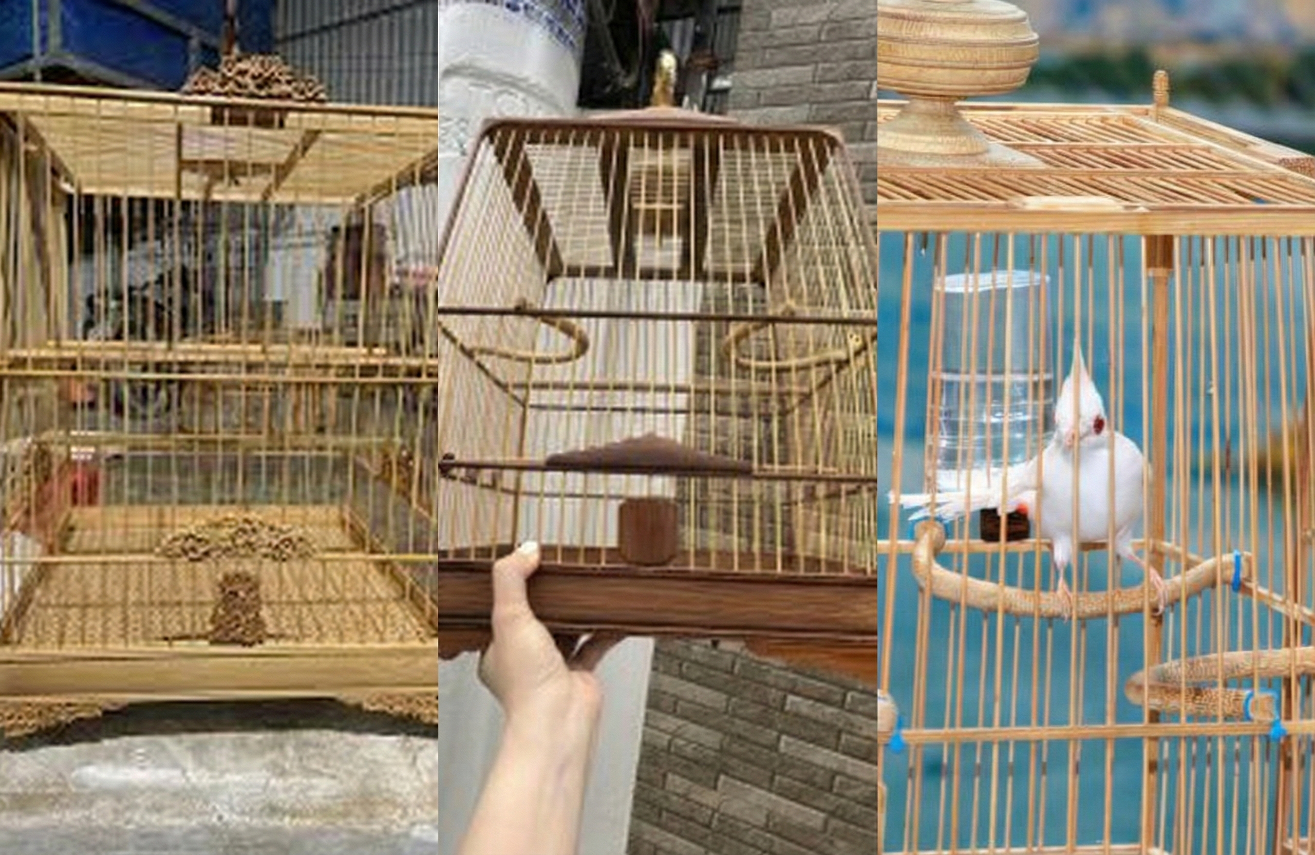 Sơ đồ 3 cách bố trí cầu: Tiêu chuẩn, 4 góc (trị lười) và 2 thẳng (trị sục).