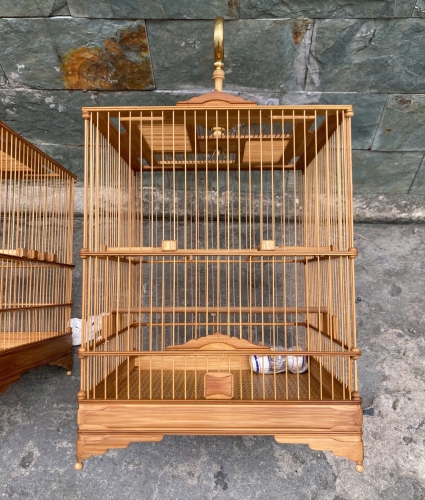Cận cảnh chú chim chào mào đang đậu trên chiếc cầu gỗ trong một chiếc lồng vuông bằng gỗ trắc cao cấp.