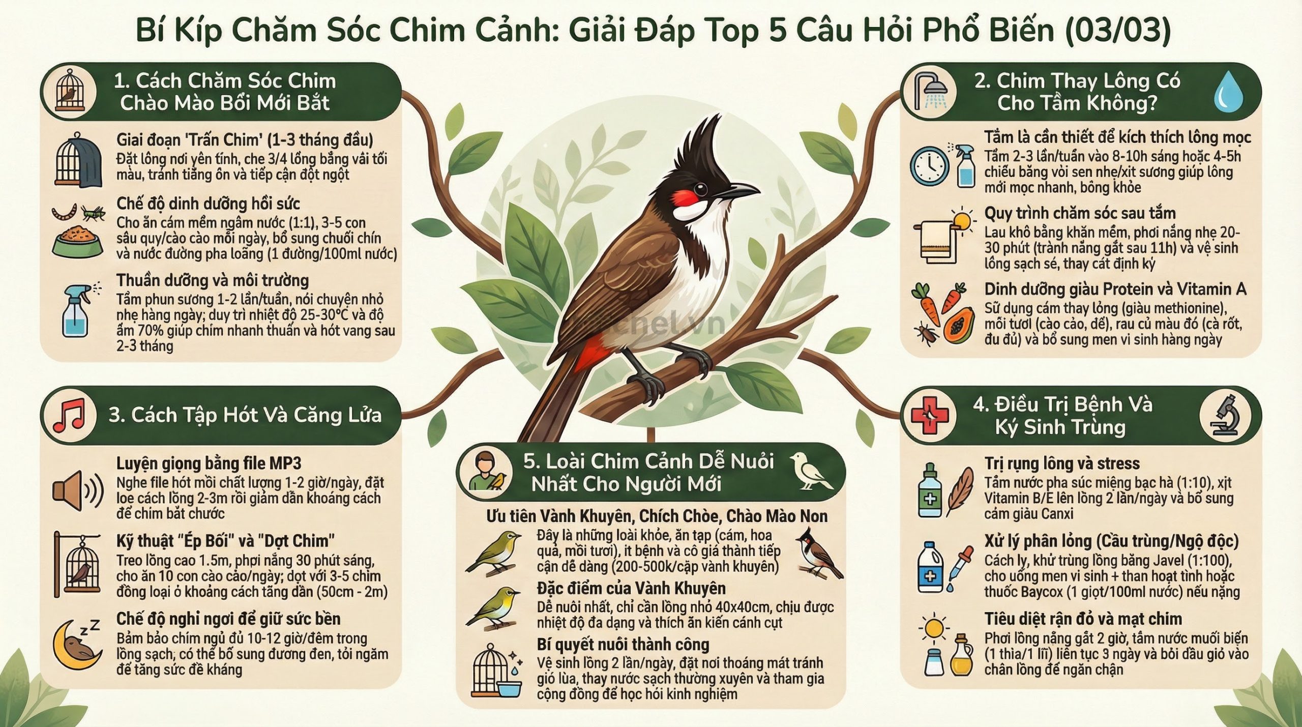 Infographic tóm tắt 5 kinh nghiệm chăm sóc chim cảnh hiệu quả và an toàn nhất.
