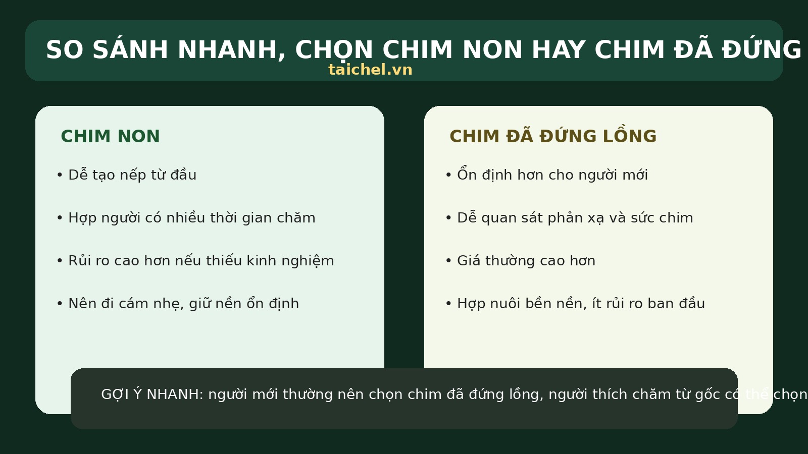 Infographic chọn chim non hay chim đã đứng lồng
