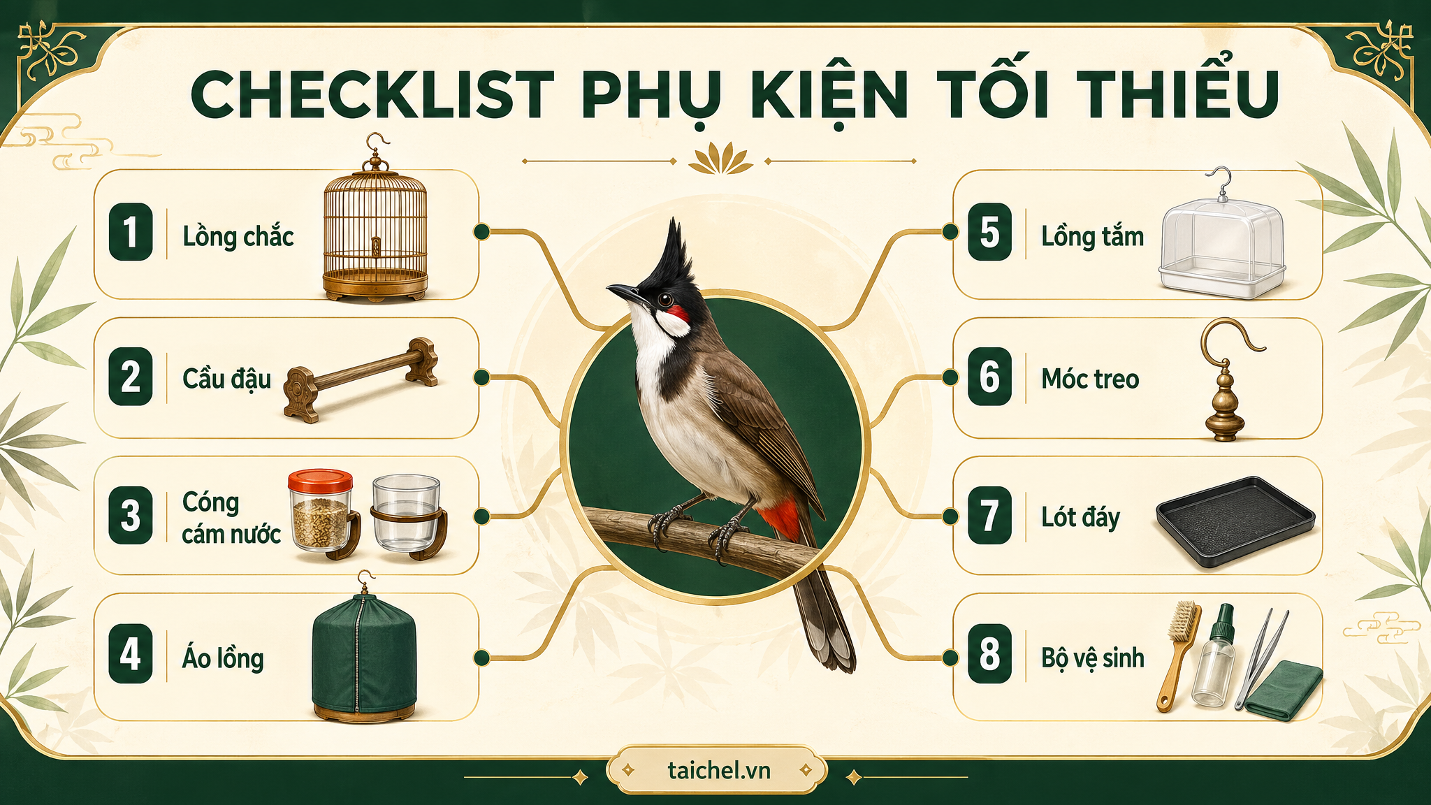 Tổng quan bộ phụ kiện tối thiểu cho người mới chơi chào mào