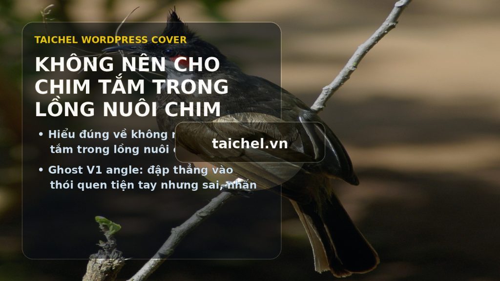 KHÔNG NÊN CHO CHIM TẮM TRONG LỒNG NUÔI CHIM