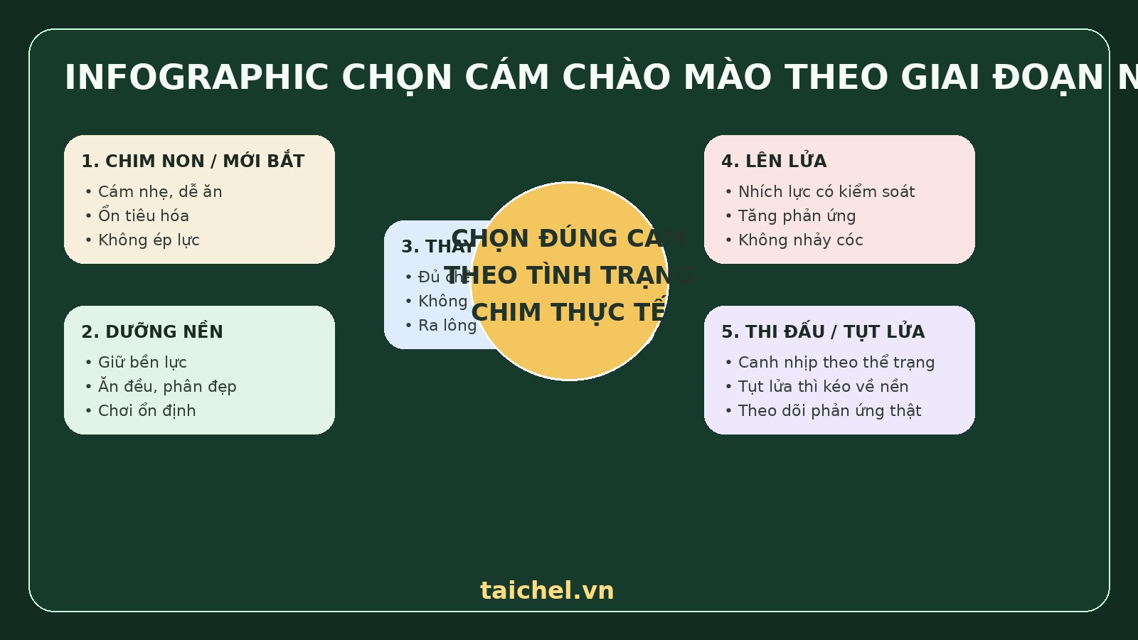 Infographic chọn cám chào mào theo từng giai đoạn nuôi