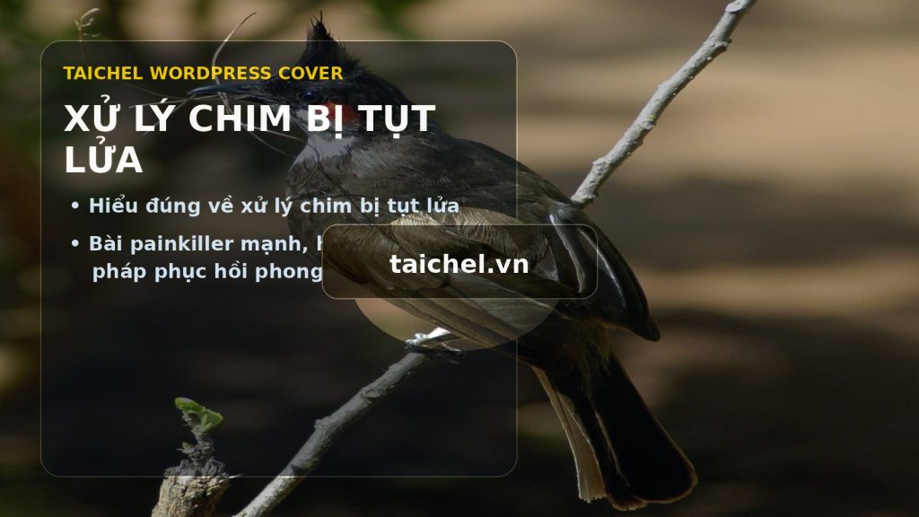 Xử lý chim bị tụt lửa