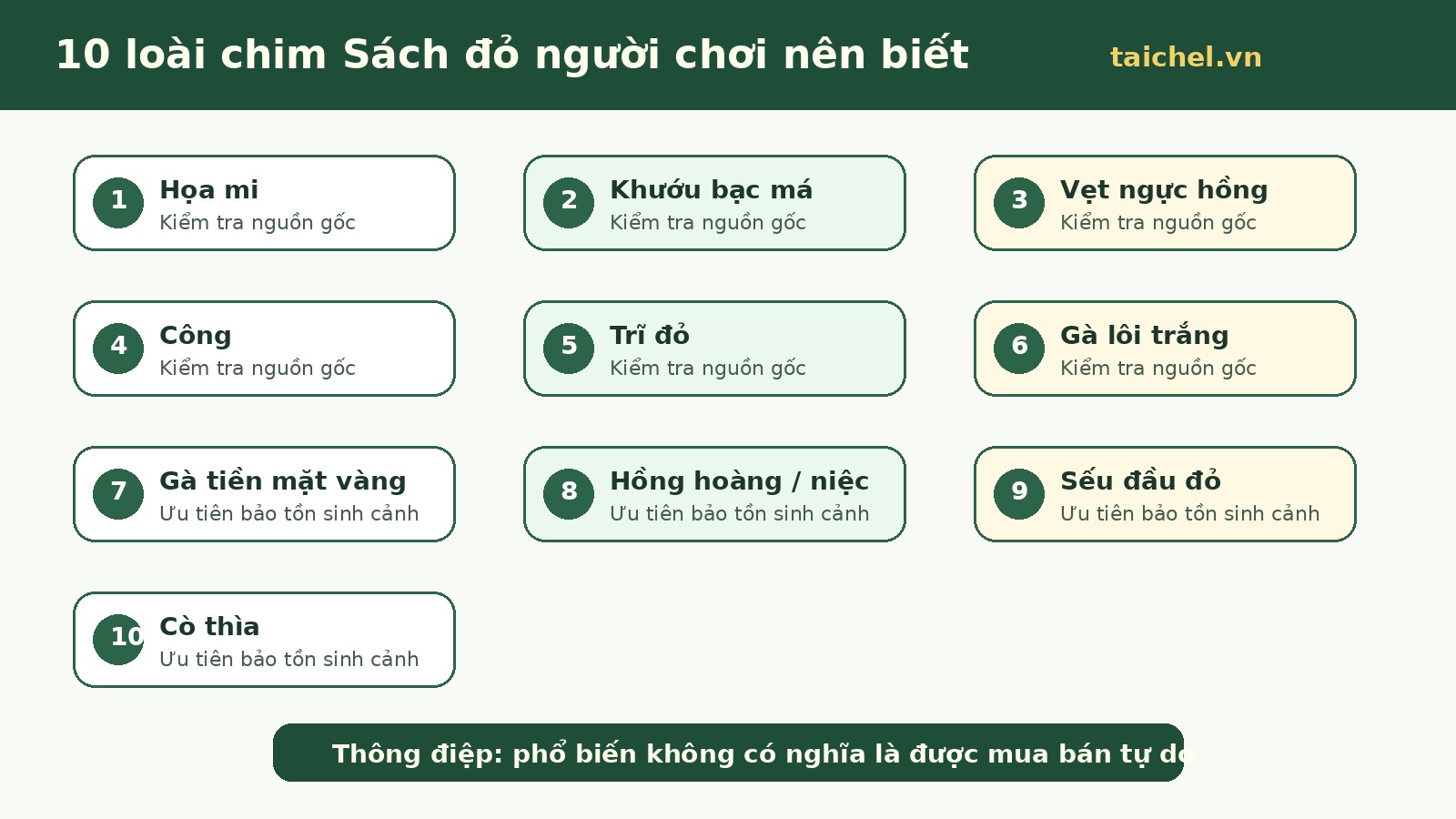 Infographic 10 loài chim Sách đỏ Việt Nam