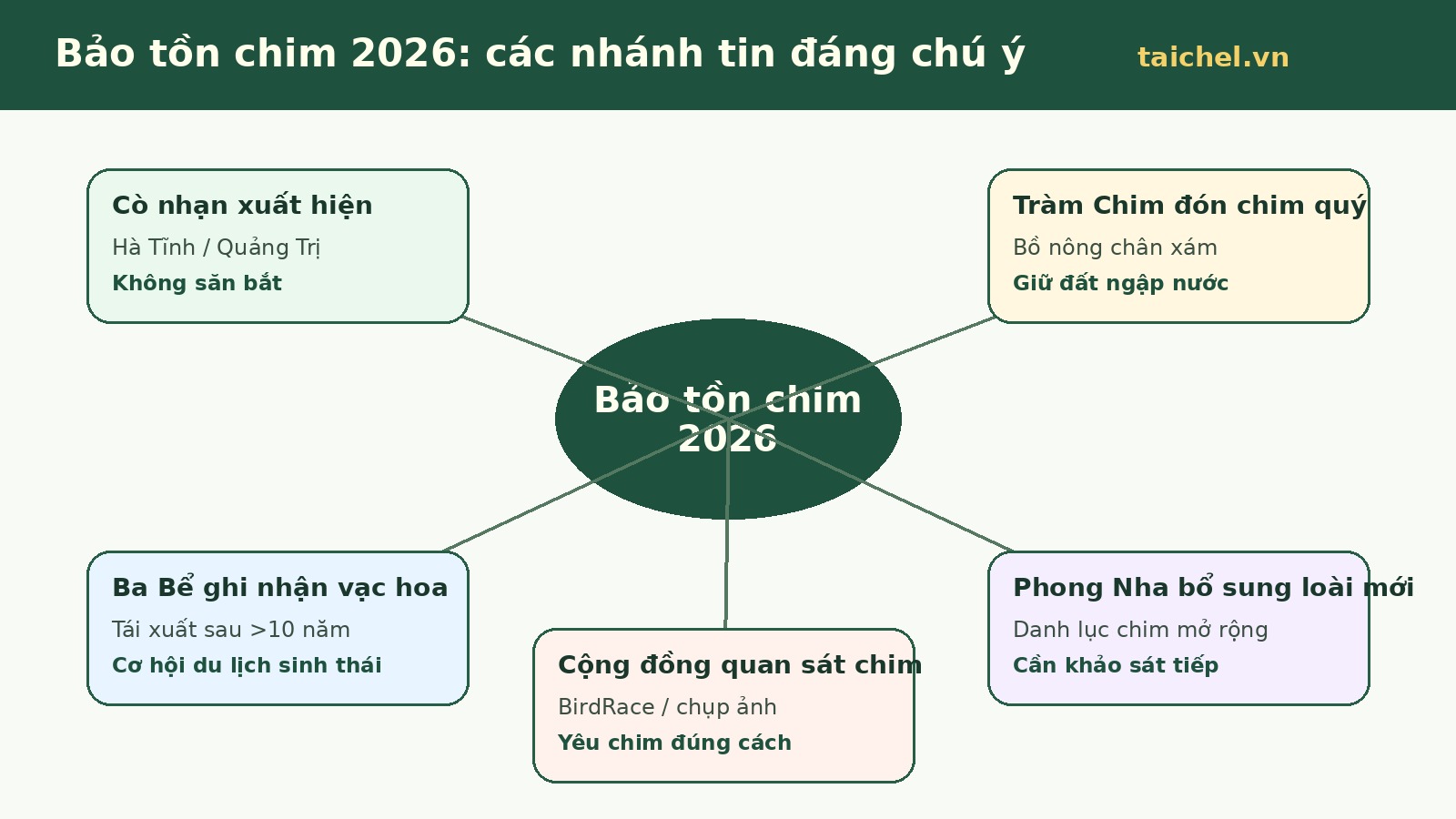 Infographic các nhánh tin bảo tồn chim 2026