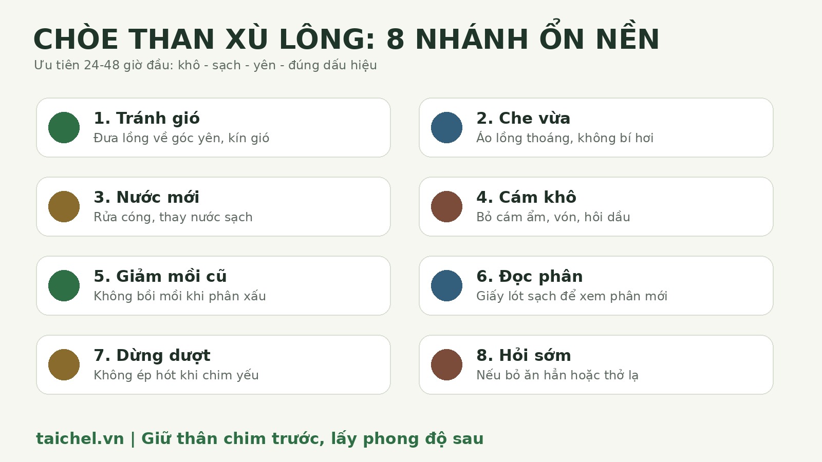Infographic 8 nhánh ổn nền khi chòe than xù lông bỏ ăn