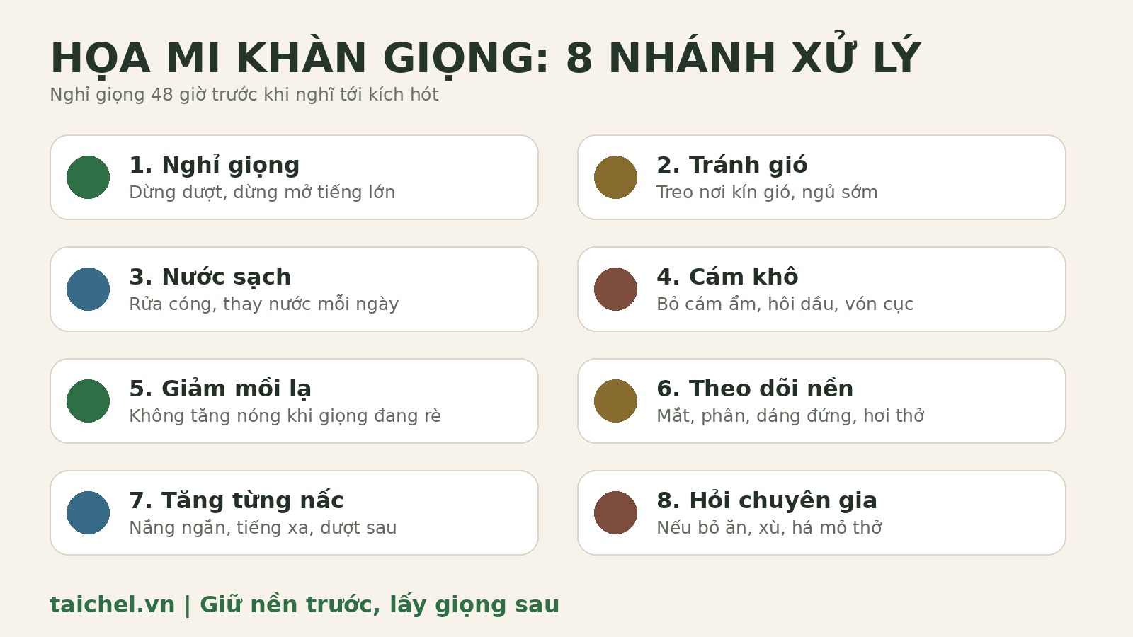 Infographic 8 nhánh xử lý họa mi khàn giọng