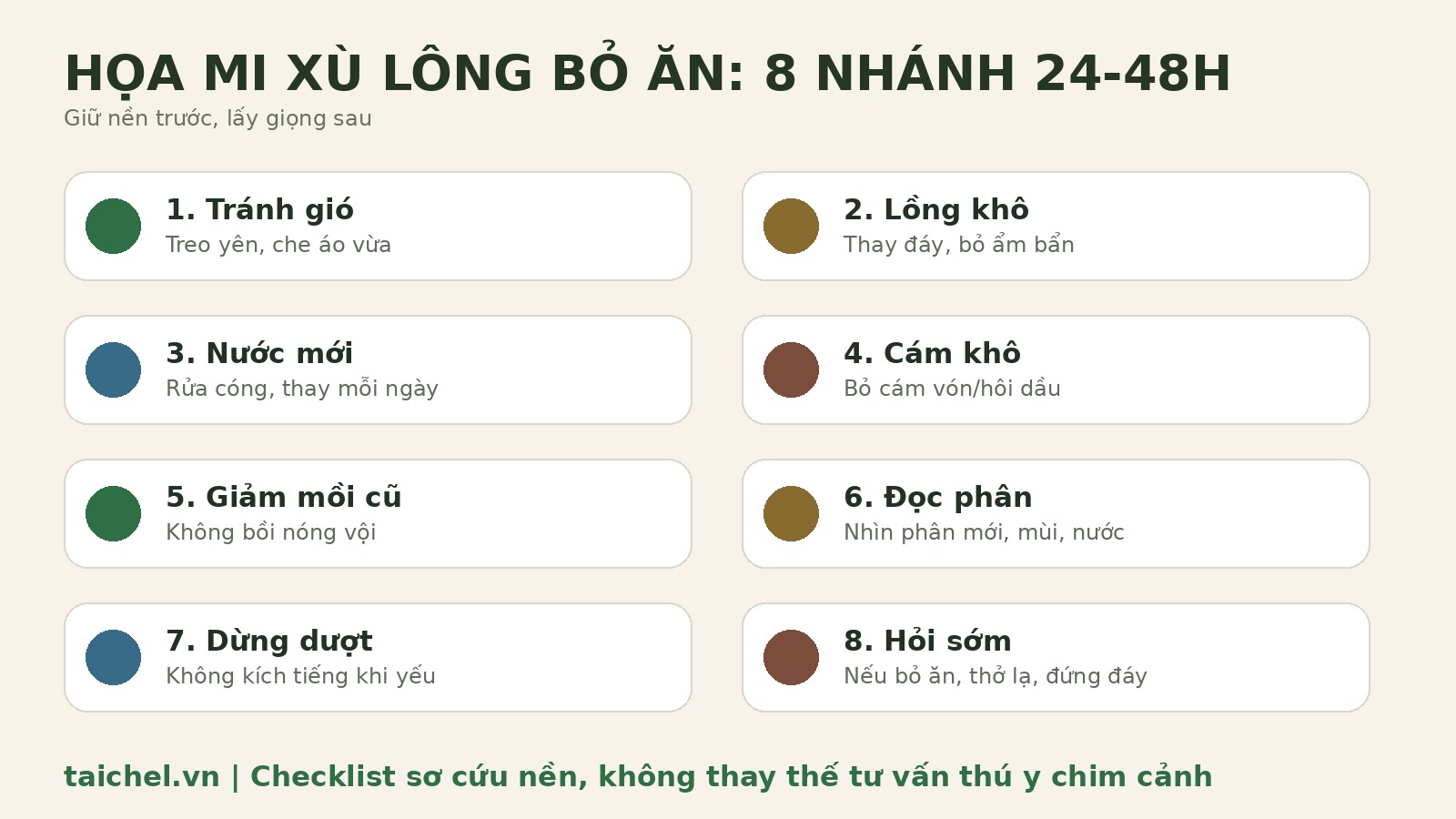 Infographic 8 nhánh xử lý họa mi xù lông bỏ ăn