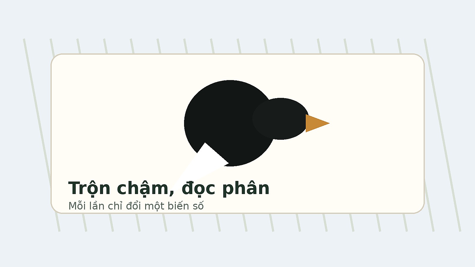 Trộn cám chậm và đọc phân cho chòe than