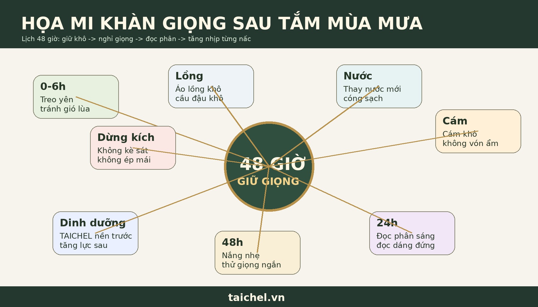 Infographic lịch 48 giờ giữ giọng họa mi sau tắm mùa mưa