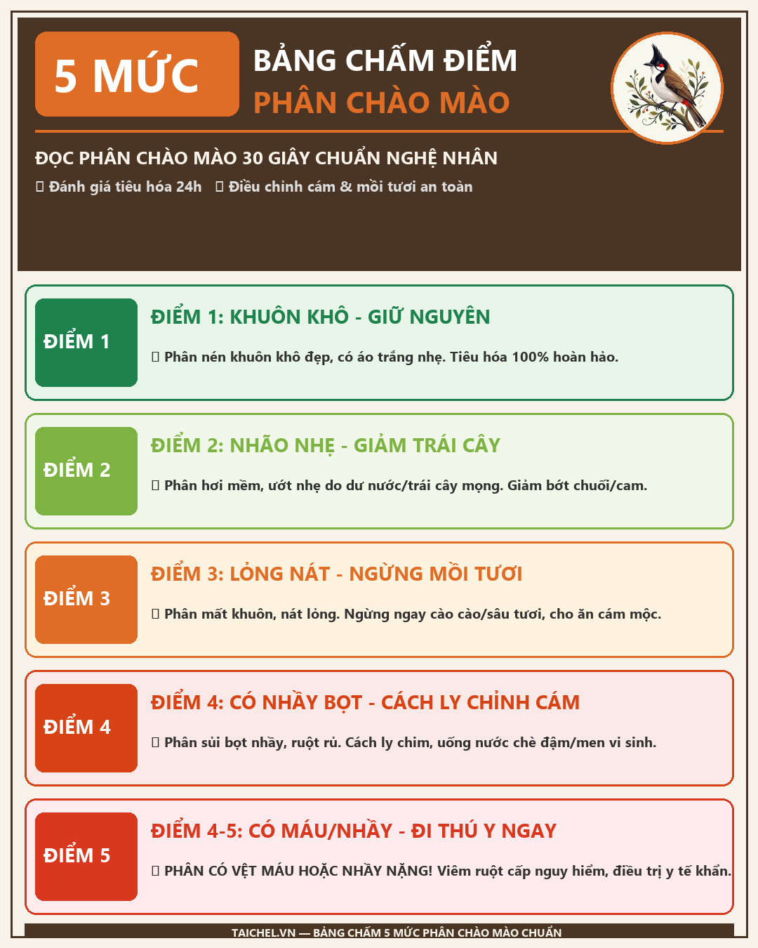 Infographic: Cách Đọc Phân Chào Mào: Bảng Chấm 5 Mức Chỉnh Cám Chuẩn