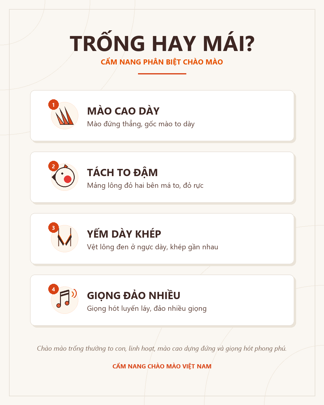 Infographic phân biệt chào mào trống mái