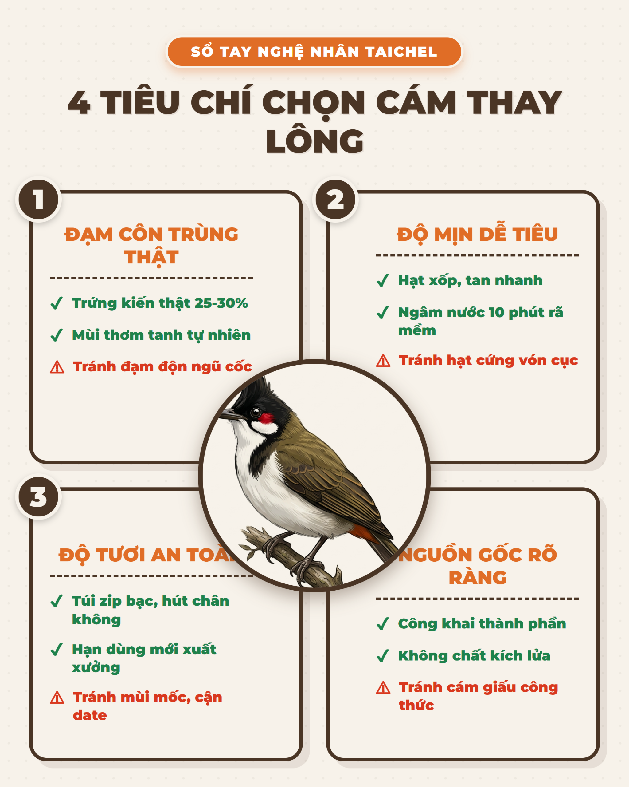 Infographic: Cám Chào Mào Thay Lông Loại Nào Tốt: 4 Tiêu Chí Chọn Đúng