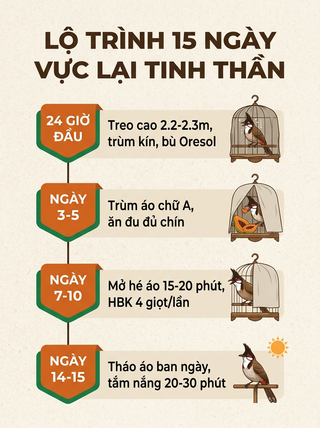 Infographic: Chào Mào Bị Stress Hoảng Loạn: Lộ Trình 15 Ngày Vực Lại Tinh Thần