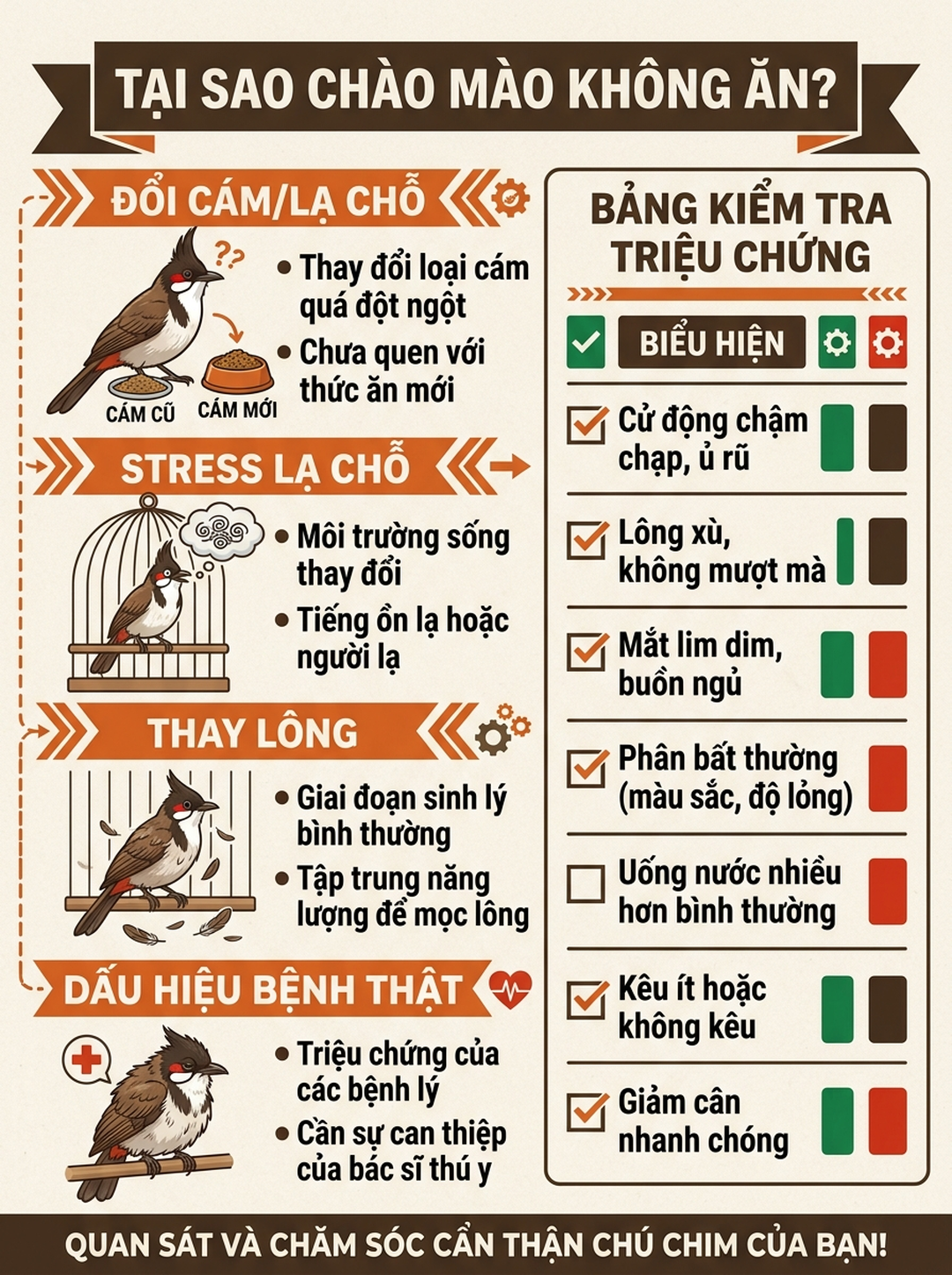 Infographic: Chào Mào Bỏ Ăn: Test 4 Điểm Tìm Nguyên Nhân Trước Khi Lo Bệnh