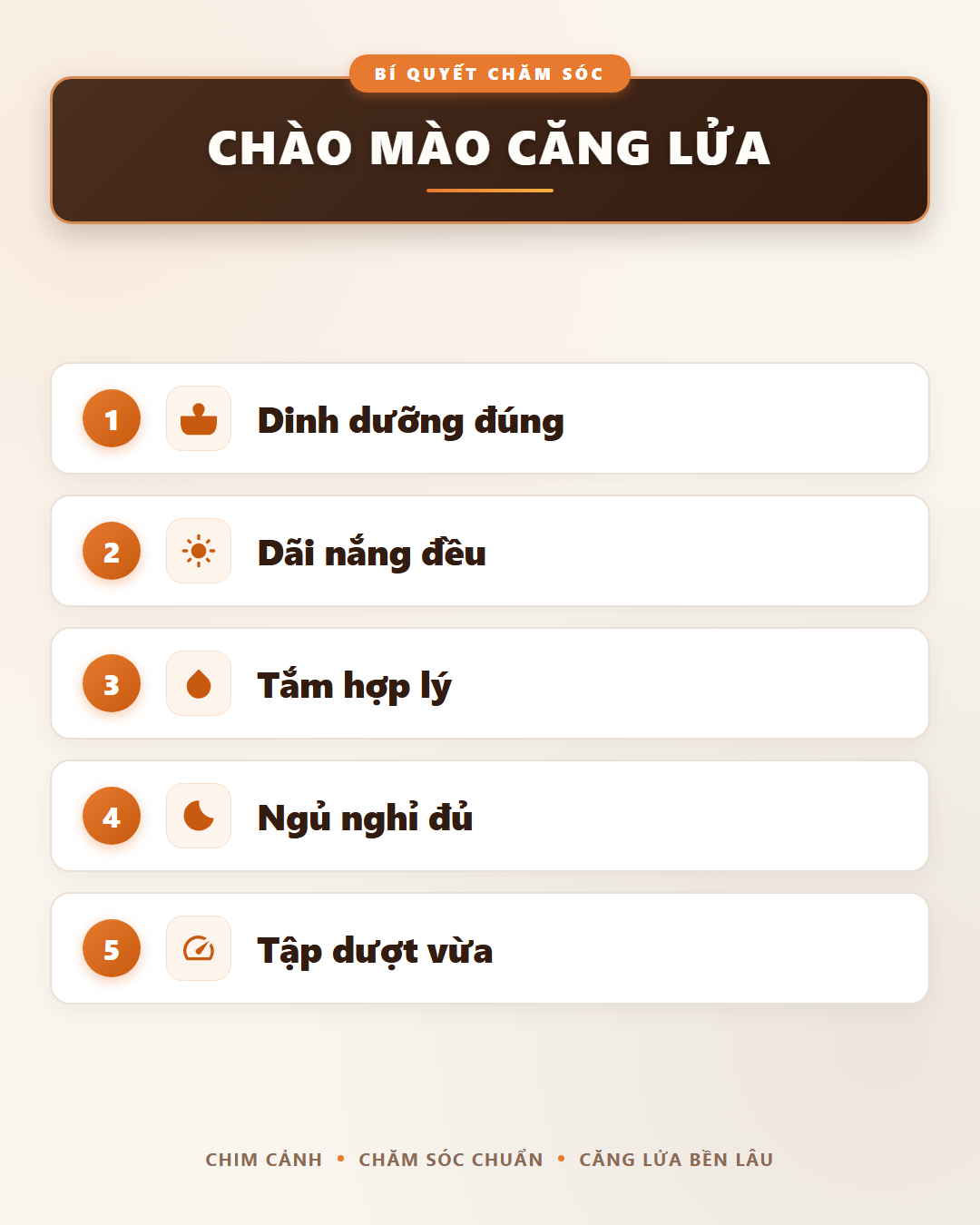 Infographic: Chào Mào Căng Lửa: Cẩm Nang Toàn Tập Về Cách Kích & Giữ Lửa Bền Vững