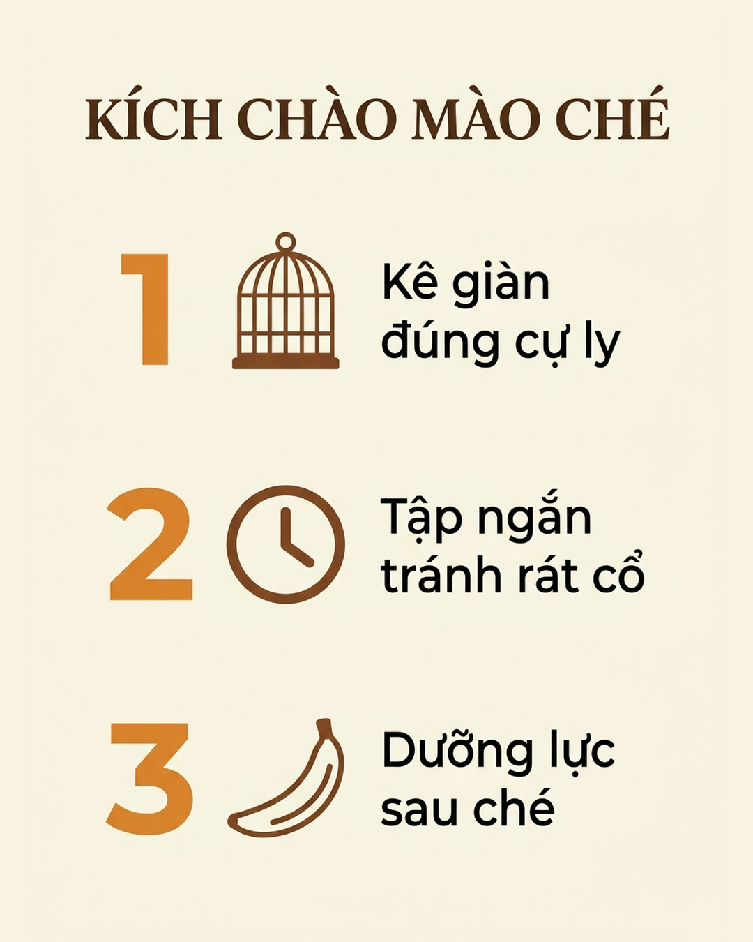 Infographic kích chào mào ché