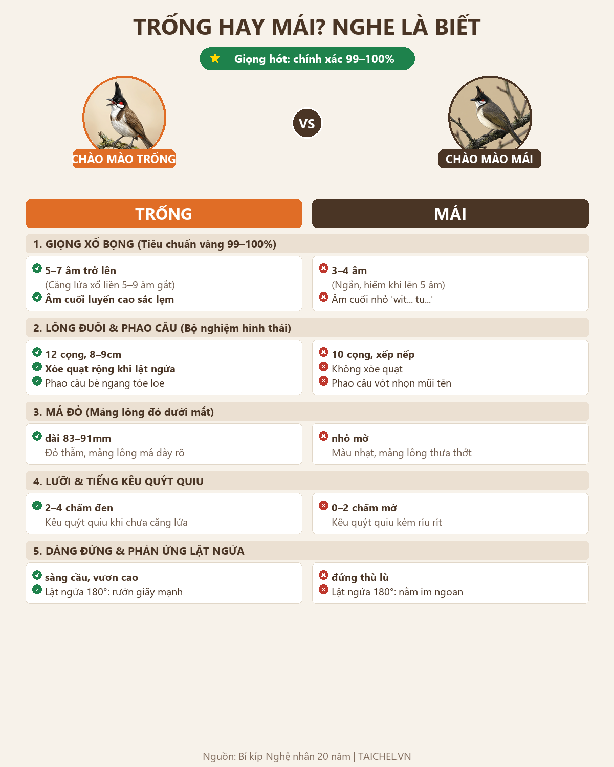 Infographic: Chào Mào Kêu Quýt Quiu Là Trống Hay Mái? Cách Phân Biệt Chuẩn Xác