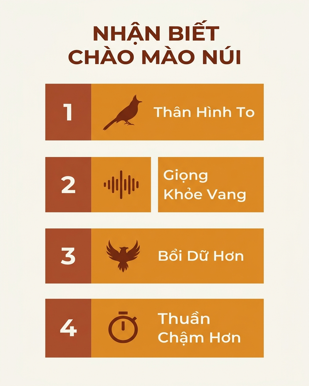 Infographic: Chào Mào Núi: Đặc Điểm, Cách Nhận Biết Và Nuôi Thuần Lên Lửa