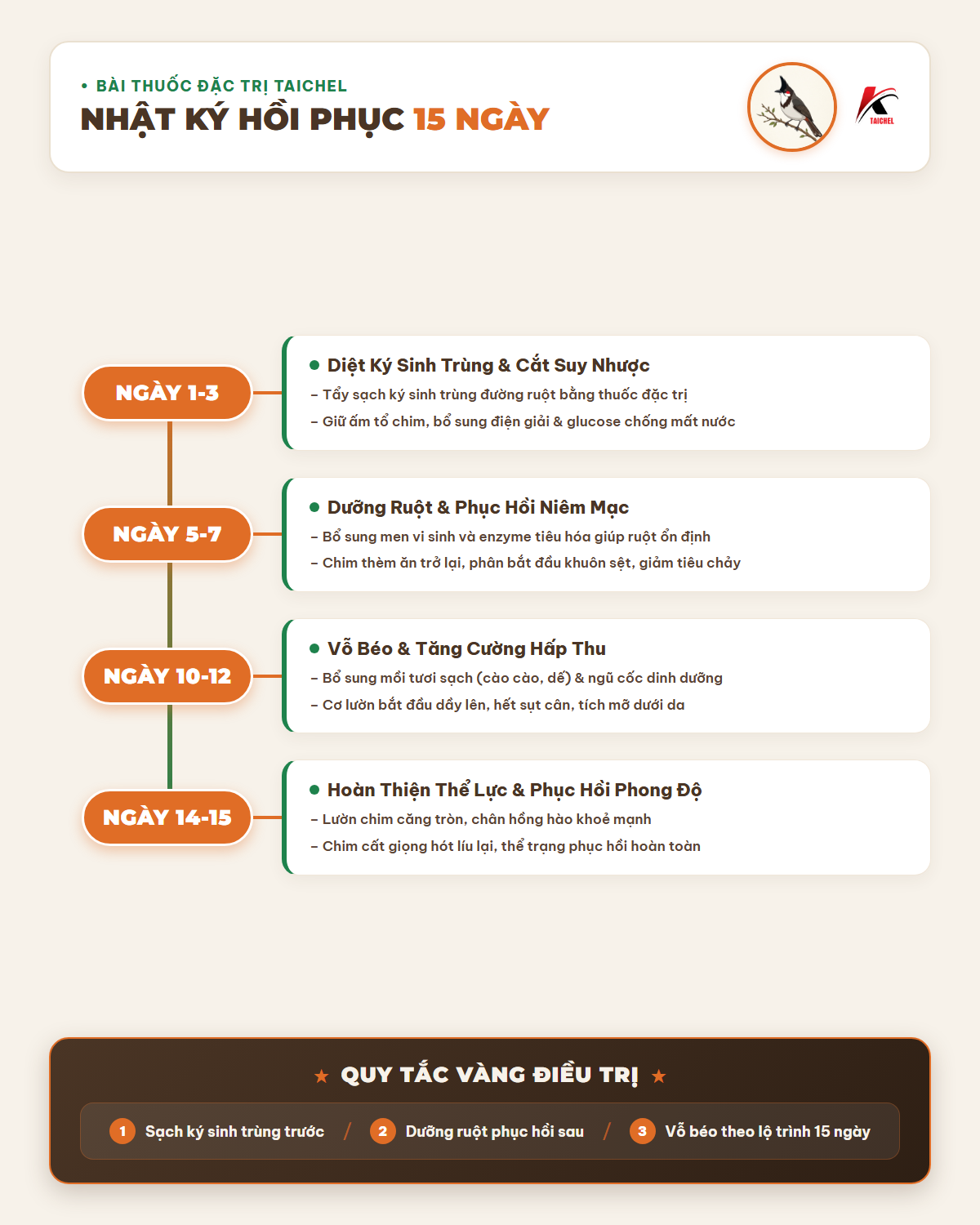 Infographic: Chào Mào Ăn Khỏe Vẫn Ốm Lườn Khô Chân: Nhật Ký Liều Dùng 15 Ngày