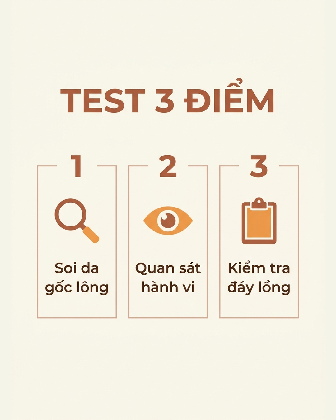 Infographic test 3 điểm chòe than rỉa lông sau tắm