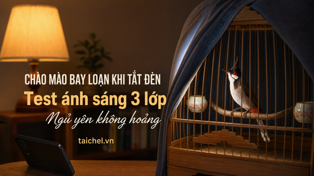 Ảnh bìa chào mào bay loạn khi tắt đèn, test bậc thang ánh sáng 3 lớp