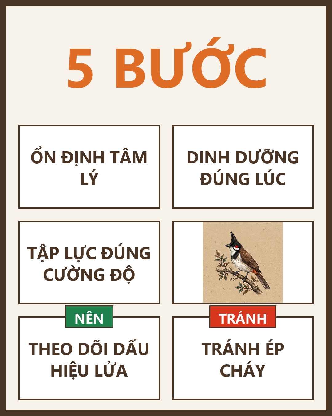 Infographic: Kích Chào Mào Lên Lửa: 5 Bước Chuẩn Nghệ Nhân Không Ép Cháy