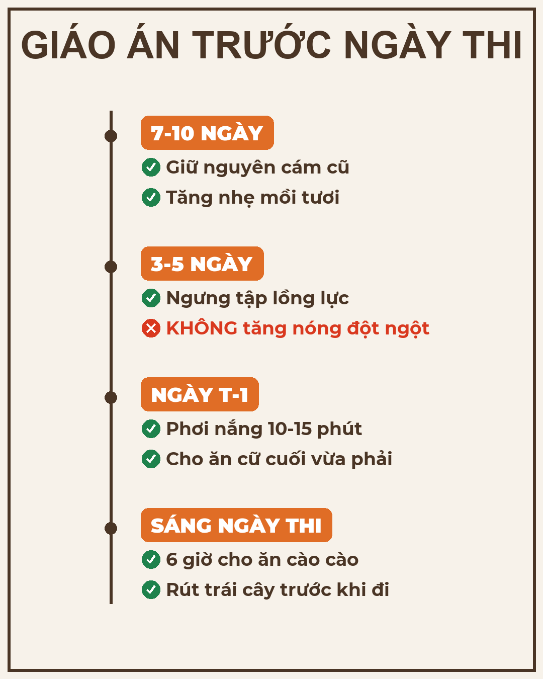 giáo án trước ngày thi đấu chào mào infographic