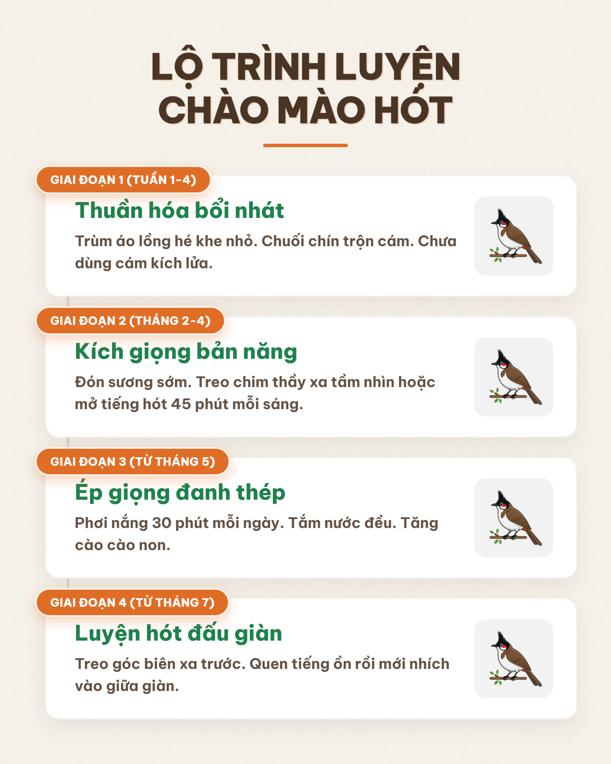 Lộ trình luyện chào mào hót