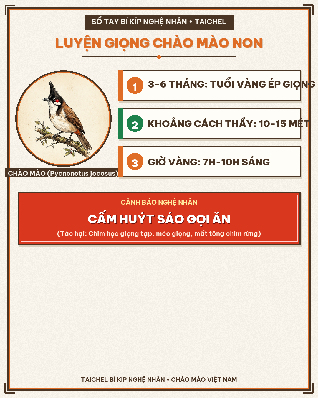 Infographic: Mốc Tháng 2: Luyện Giọng Chào Mào Non Đúng Giờ Vàng