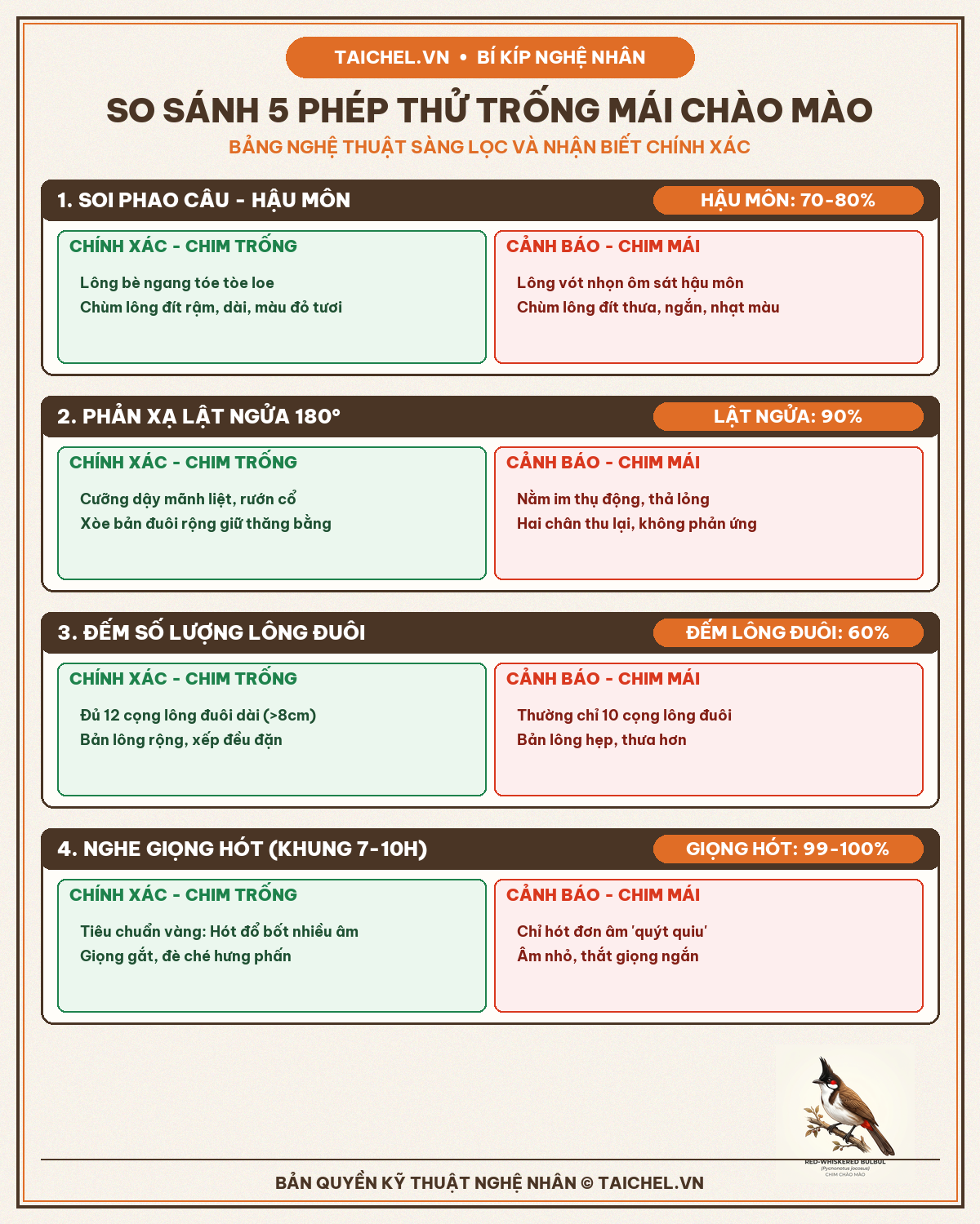 infographic nhìn phao câu đoán trống mái chào mào