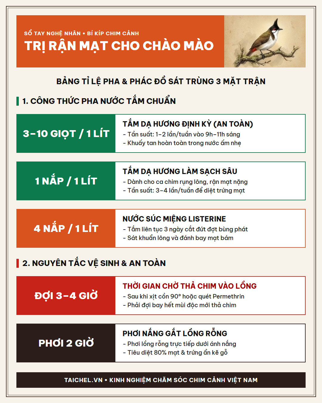 Infographic: Trị Rận Mạt Cho Chào Mào: Tắm Dạ Hương Đúng Tỉ Lệ Pha