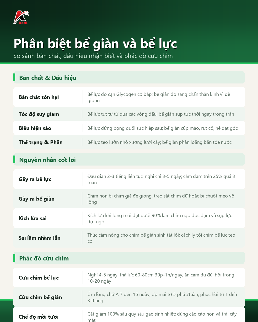 Infographic tóm tắt Phân biệt bể giàn và bể lực: So sánh bản chất, dấu hiệu nhận biết và phác đồ cứu chim