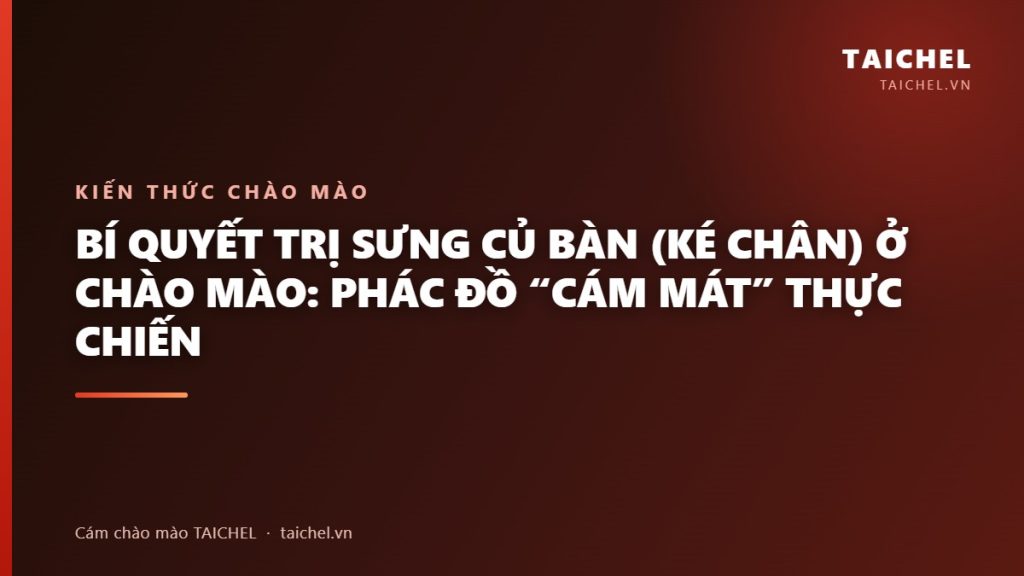 Bí Quyết Trị Sưng Củ Bàn (Ké Chân) Ở Chào Mào: Phác Đồ “Cám Mát” Thực Chiến