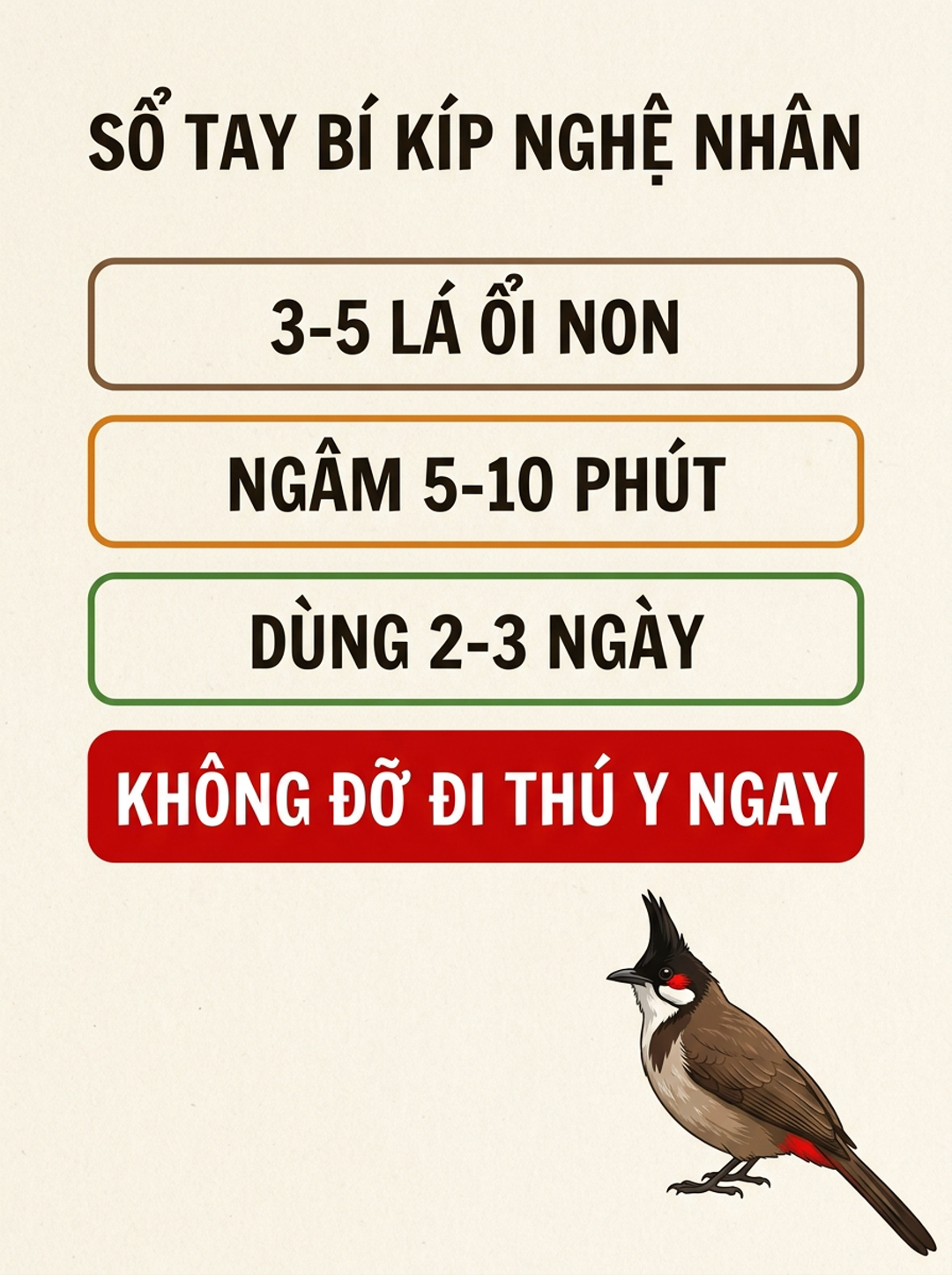 Infographic: Búp Ổi Non Trị Tiêu Chảy Nhẹ Cho Chào Mào: Công Thức 3-5 Lá Chuẩn Nghệ Nhân